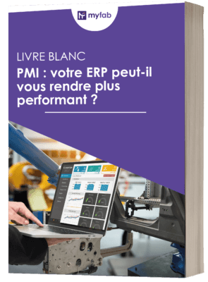 Livre blanc PMI ERP Performance
