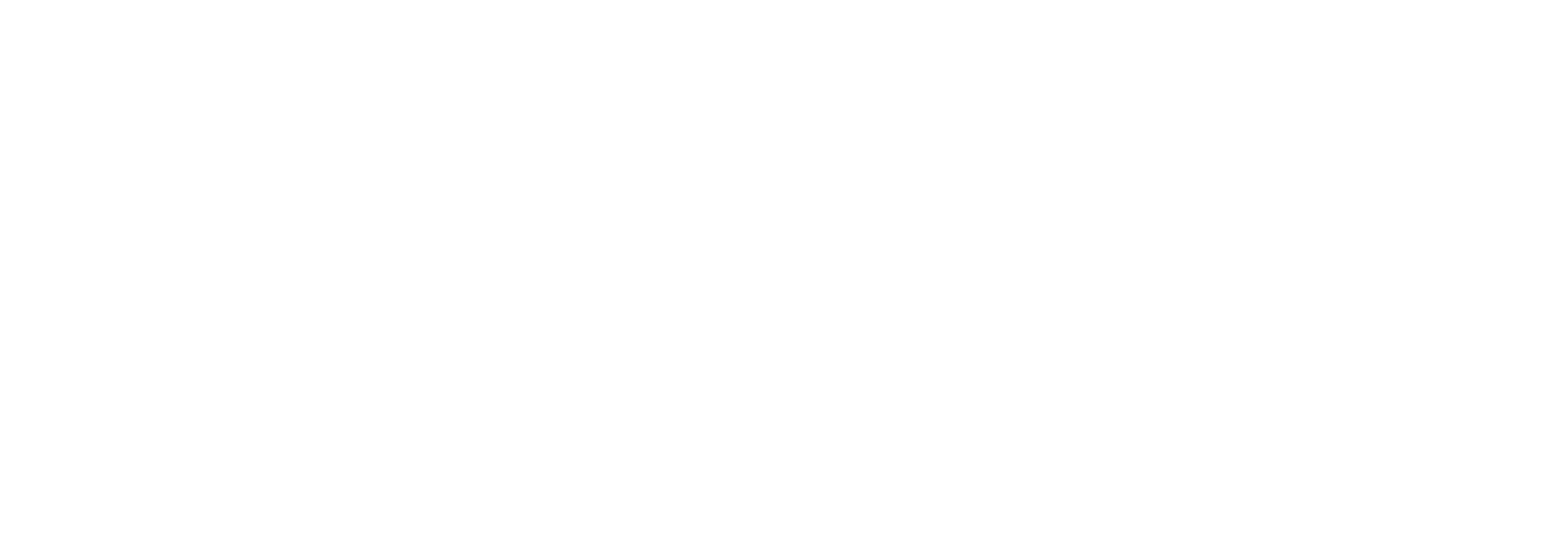 logo 1life