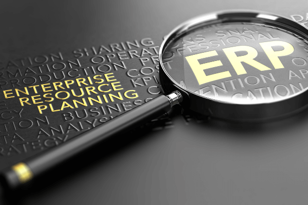 image erp article